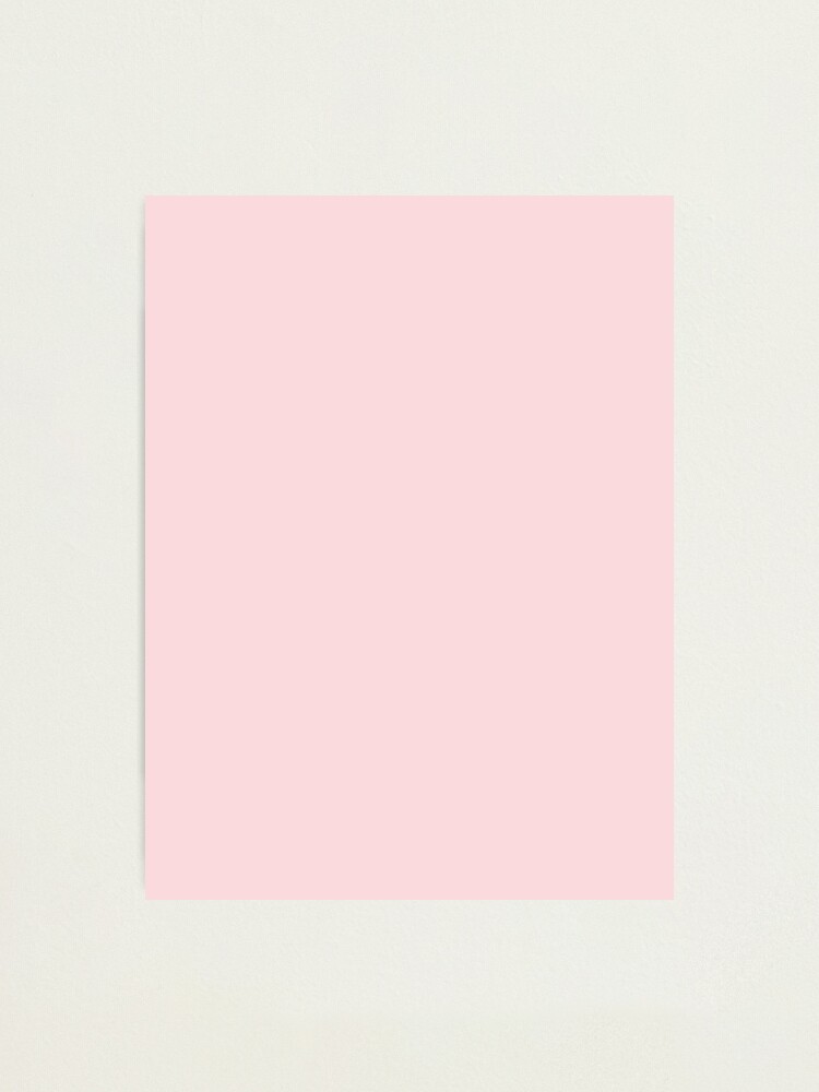 Pale Pink Photographic Print for Sale by SolidColors