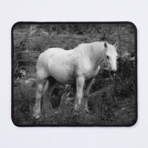 Item preview, Equine Horse designed and sold by BritishYank.