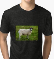 I.m Watching Ewe.......... Tri-blend T-Shirt