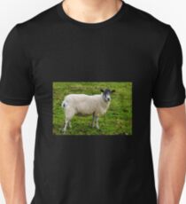 I.m Watching Ewe.......... Unisex T-Shirt