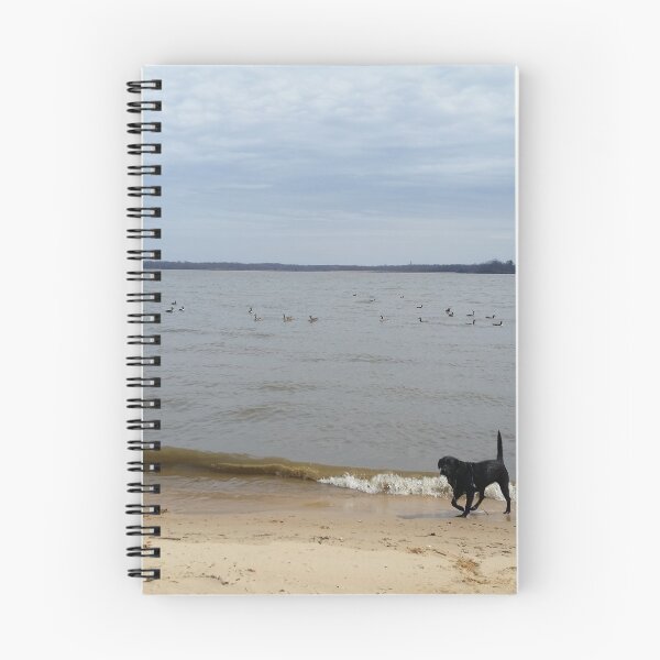 Item preview, black lab on the beach designed and sold by Miranda Miller.