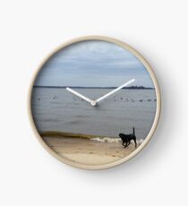 Reloj laboratorio negro en la playa