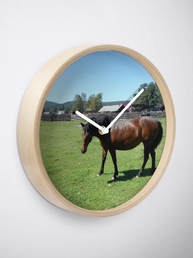 Alternate view of Horse. Beautiful horse image Clock
