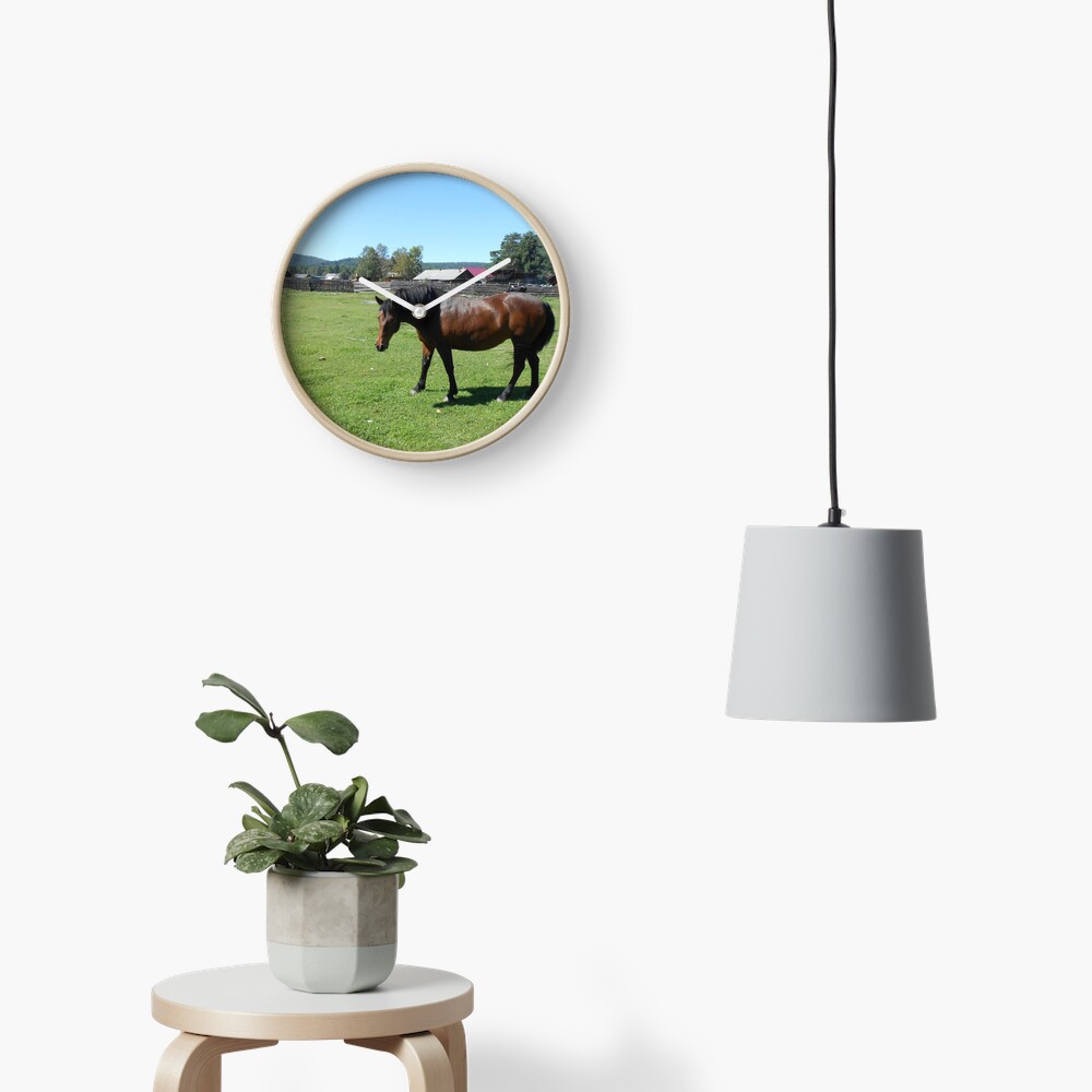 Horse. Beautiful horse image Clock