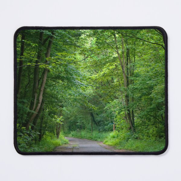Item preview, Autumn Forest in the Late Afternoon designed and sold by BritishYank.