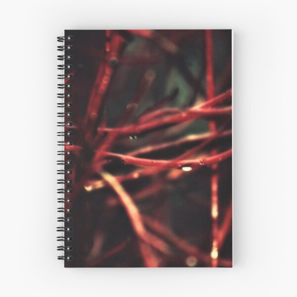 Item preview, twigs designed and sold by Francespoppy.