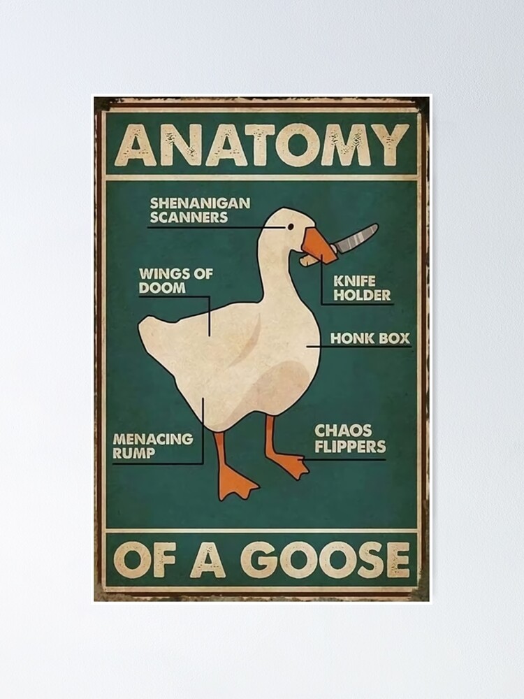"Vintage Anatomy Of A Goose Poster" Poster for Sale by gulhamgun
