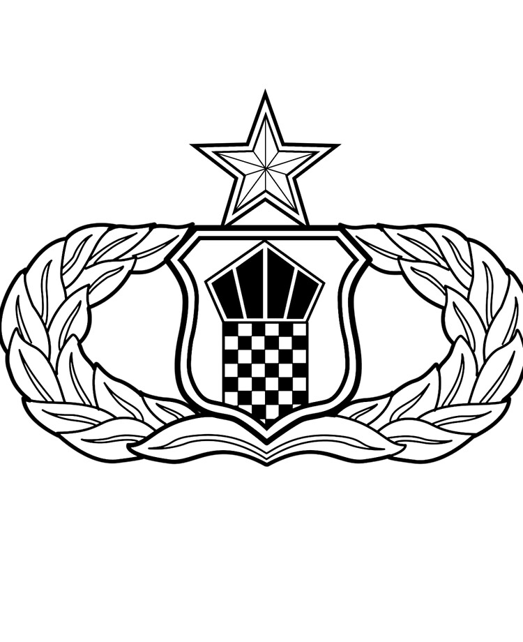 air force 7 level badge