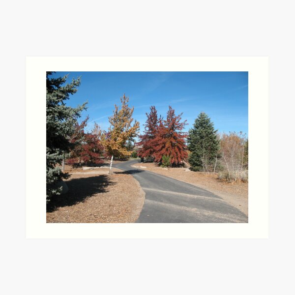The Fall Path Art Print
