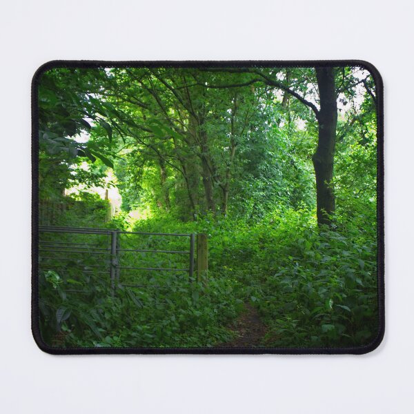 Item preview, Forest in the Late Afternoon designed and sold by BritishYank.