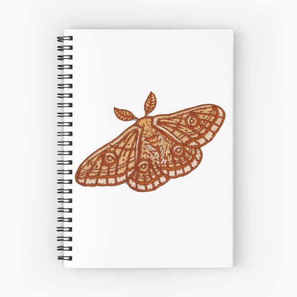 Item preview, Butterfly Sticker designed and sold by designolo.