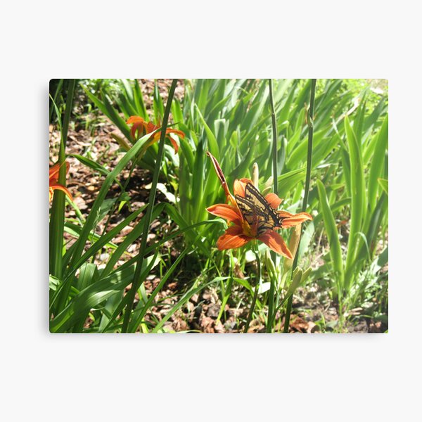 Lost in a Flower Metal Print