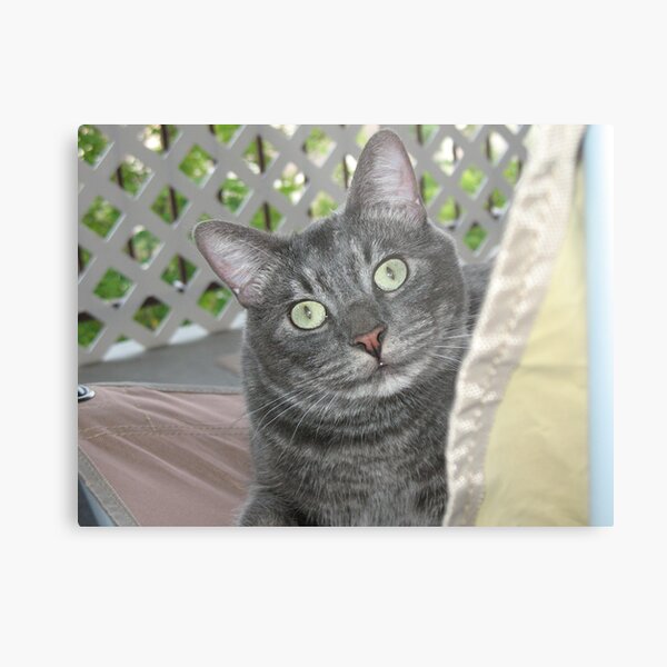 Puzzled Metal Print
