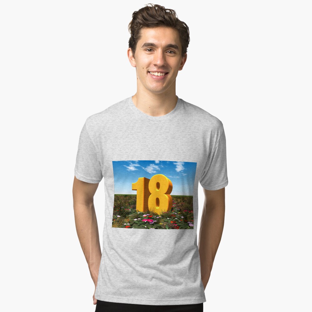 Item preview, Tri-blend T-Shirt designed and sold by MIRO3D.