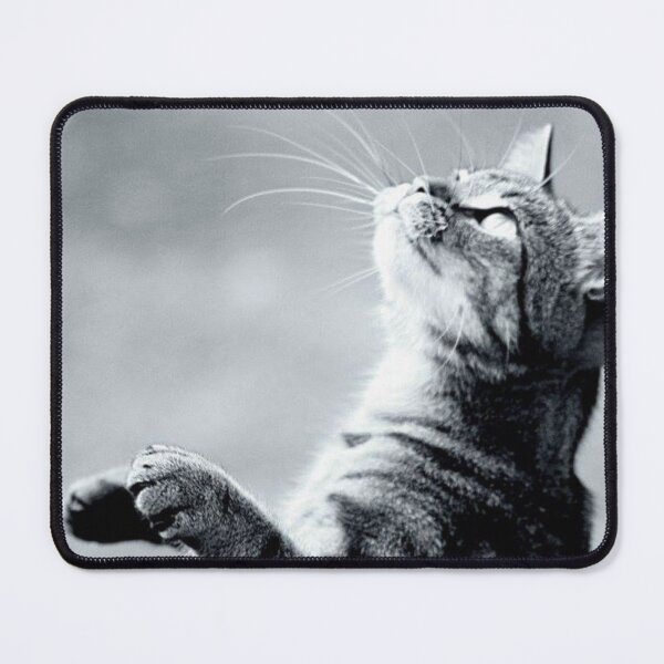 Item preview, tabby cat black and white designed and sold by Francespoppy.