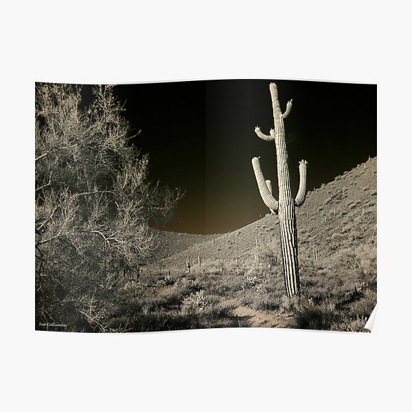 Hidden Mysteries Poster