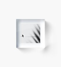 A bird on a wire Acrylic Block