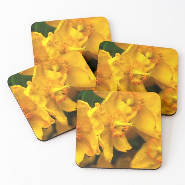 Item preview, Azaleas Golden Light designed and sold by BritishYank.