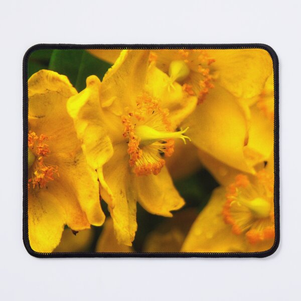 Item preview, Azaleas Golden Light designed and sold by BritishYank.