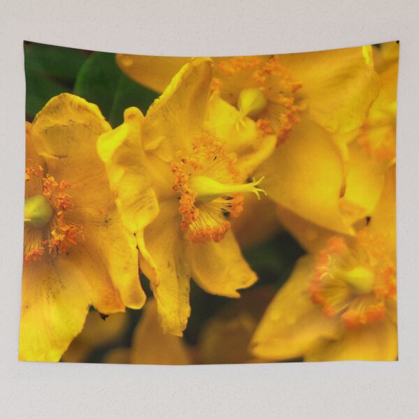 Item preview, Azaleas Golden Light designed and sold by BritishYank.
