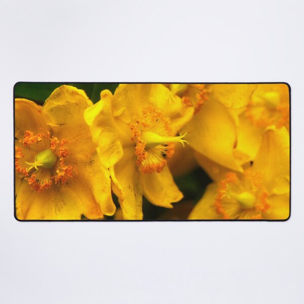 Item preview, Azaleas Golden Light designed and sold by BritishYank.