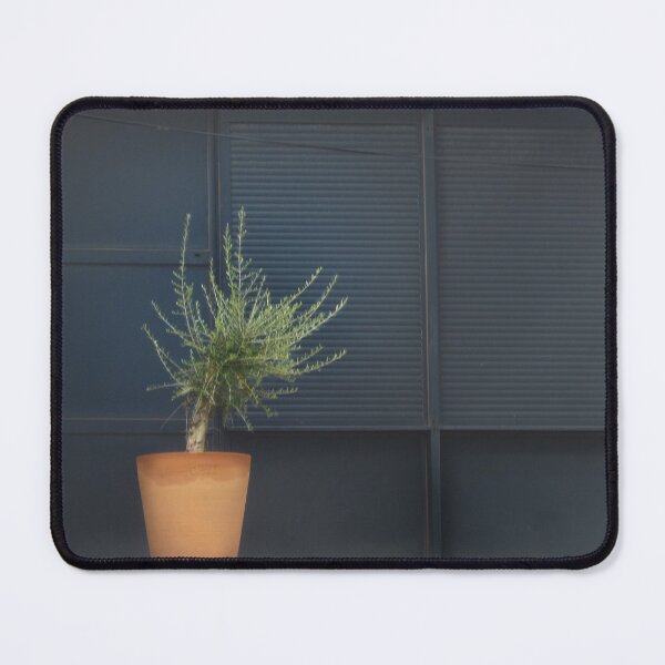 Item preview, Framed olive. designed and sold by Paul Pasco.