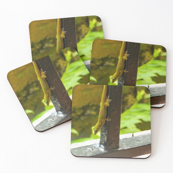 Item preview, Colorful Lined Day Gecko, Madagascar #2 designed and sold by Ocera-Photo.