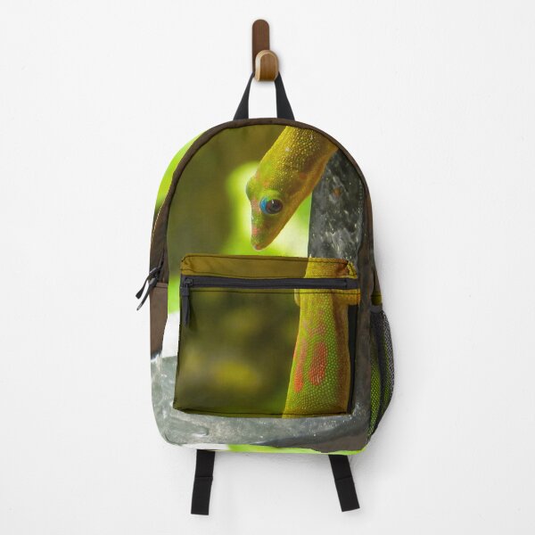 Item preview, Colorful Lined Day Gecko, Madagascar #2 designed and sold by Ocera-Photo.