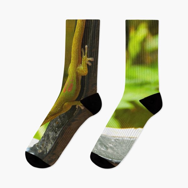 Item preview, Colorful Lined Day Gecko, Madagascar #2 designed and sold by Ocera-Photo.