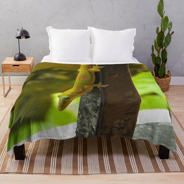 Item preview, Colorful Lined Day Gecko, Madagascar #2 designed and sold by Ocera-Photo.
