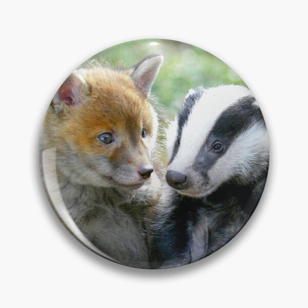 Item preview, Fox Cub and Badger Cub Make Great Friends designed and sold by Picturestation.