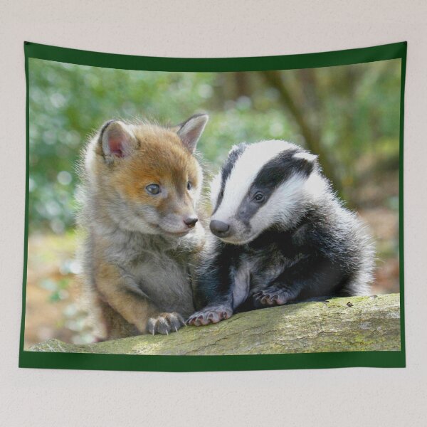 Item preview, Fox Cub and Badger Cub Make Great Friends designed and sold by Picturestation.