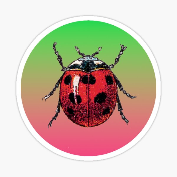 Ladybug Stickers, Unique Designs