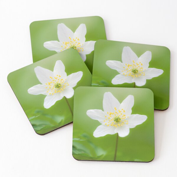 Item preview, Wood Anemone (Anemone nemorosa) Flower designed and sold by Craig Joiner.