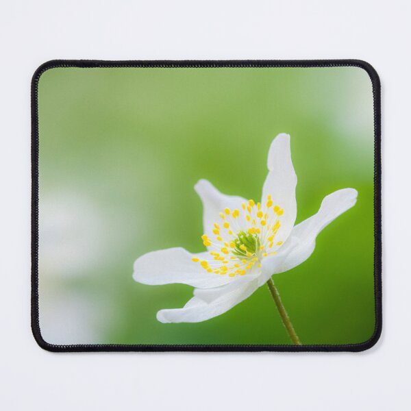 Item preview, Wood Anemone (Anemone nemorosa) Flower designed and sold by Craig Joiner.