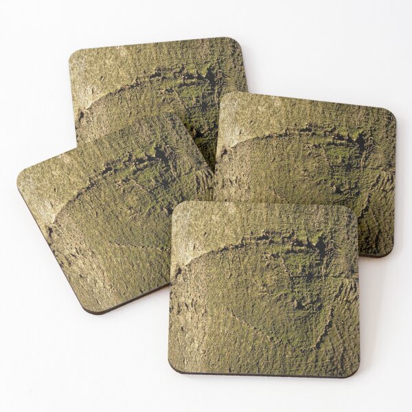 Item preview, Beech bark designed and sold by AdioraStore.