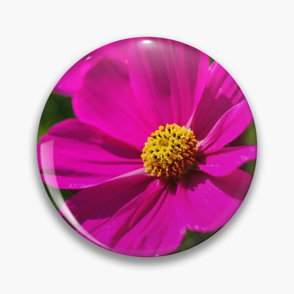 Item preview, Cosmos Pink Flower designed and sold by Tanya C  Smith.
