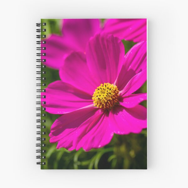 Item preview, Cosmos Pink Flower designed and sold by Tanya C  Smith.