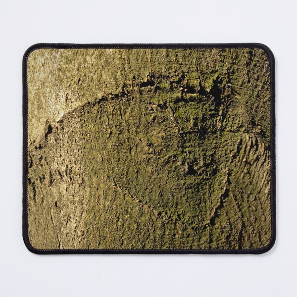 Item preview, Beech bark designed and sold by AdioraStore.