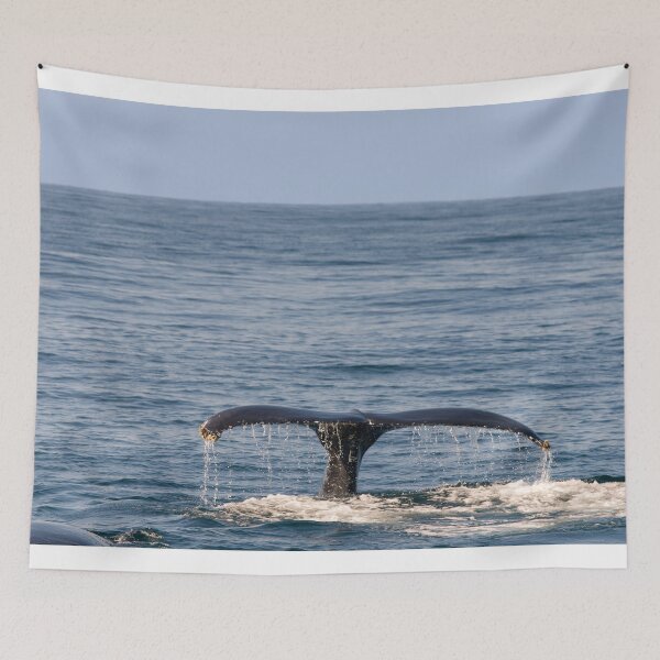 Item preview, Whale tail designed and sold by Photopat.