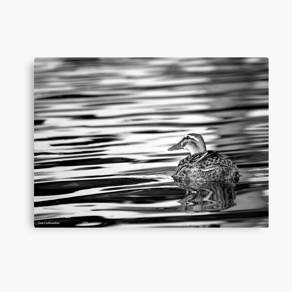 Voyage Home Canvas Print