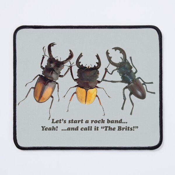 Item preview, Picture of 3 beetles: Let's start a rock band... Yeah! ... and call it "The Brits". designed and sold by SomeGuyLou.