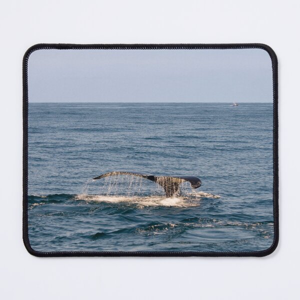 Item preview, Whale tail designed and sold by Photopat.