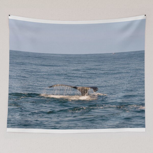 Item preview, Whale tail designed and sold by Photopat.