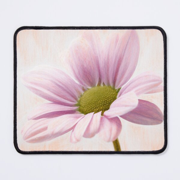 Item preview, Chrysanthemum Pink designed and sold by Tanya C Smith.