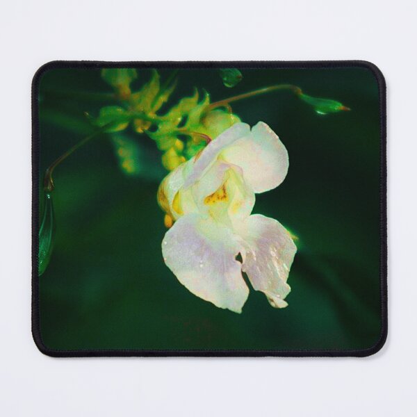 Item preview, Bicolor Flower designed and sold by Francespoppy.