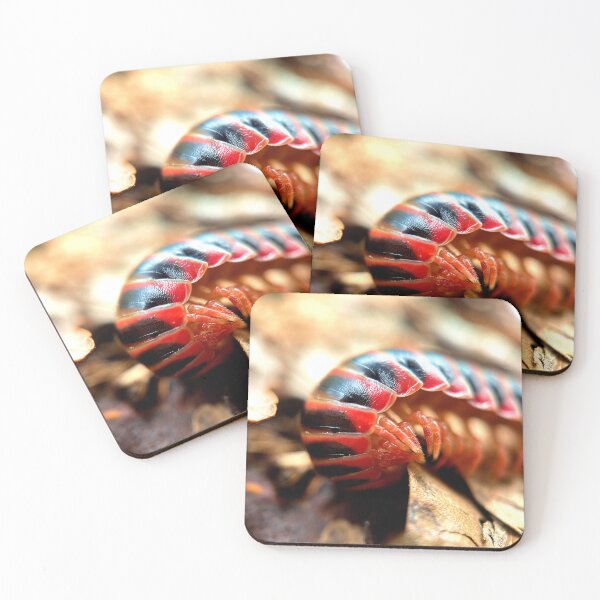 Item preview, Shyness designed and sold by Jason Tompkins.