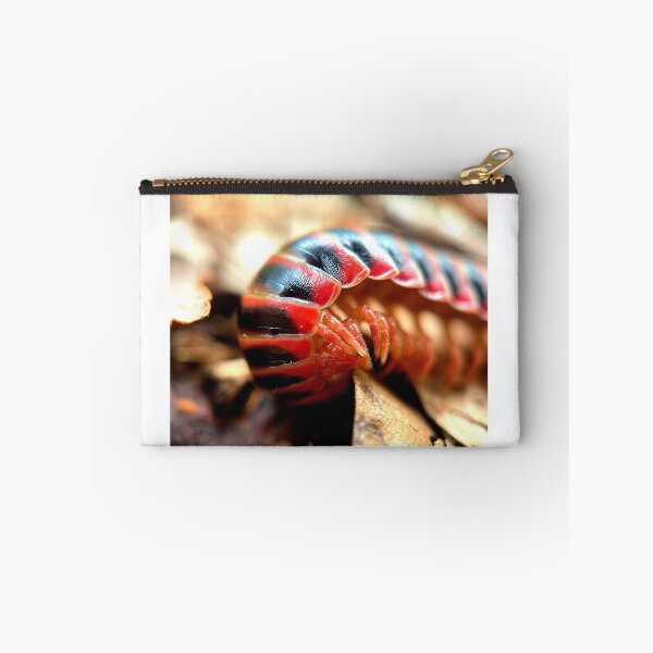Item preview, Shyness designed and sold by Jason Tompkins.