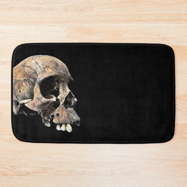 Item preview, Decaying Skull (2) designed and sold by DotorEaon.