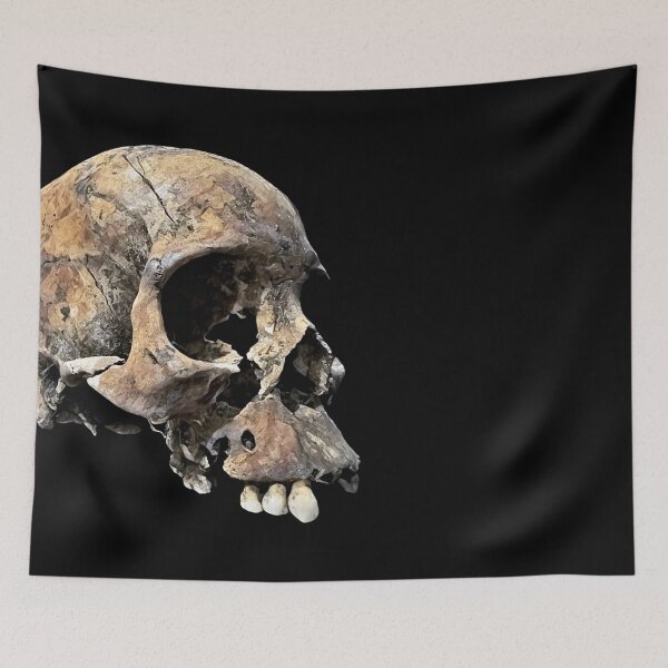 Item preview, Decaying Skull (2) designed and sold by DotorEaon.